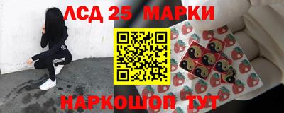 индика Ирбит