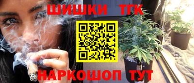 индика Ирбит